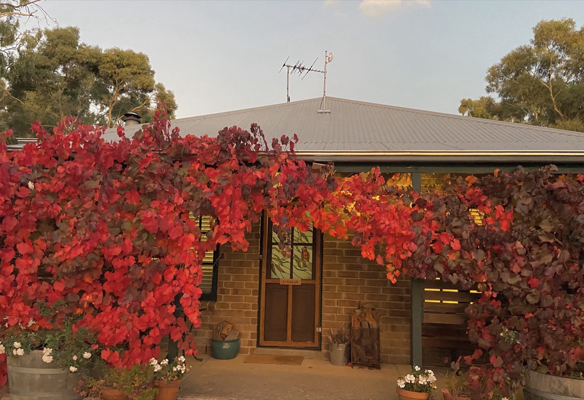 Galah Cottage at Battunga